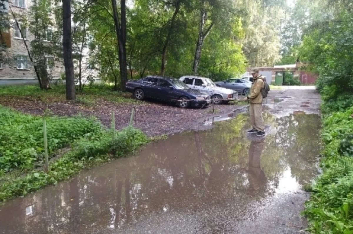    Житель Томска устроил рыбалку в городских лужах