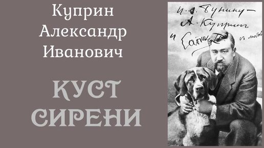 Куст сирени. Куприн Александр Иванович. Рассказ. Аудиокнига