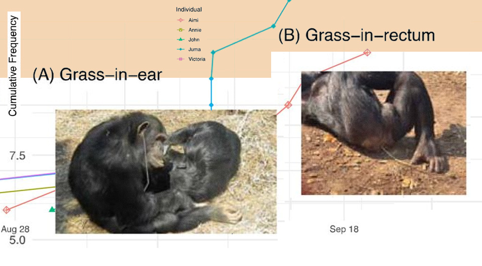   N + 1; Edwin J. C. van Leeuwen et al. / bioRxiv, 2024