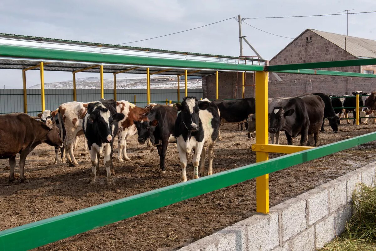 © Sputnik / Andranik Ghazaryan