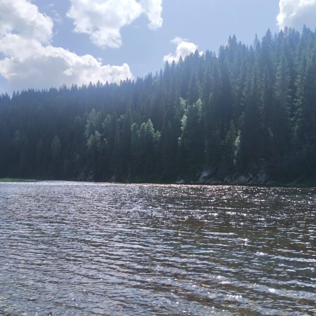    Фото: "В курсе.ру" Екатерина Устькачкинцева