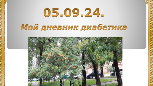 05.09.24. Мой дневник диабетика