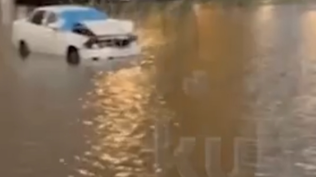    Фото: скрин видео