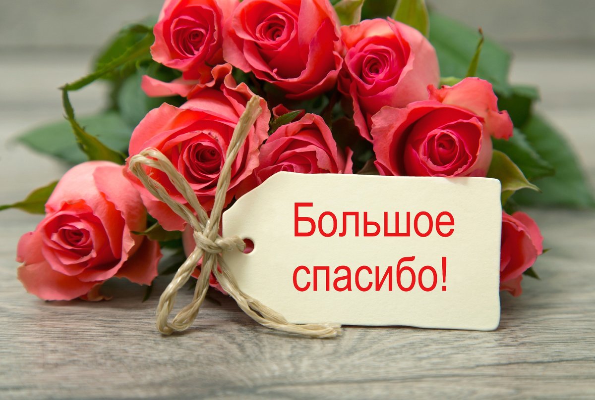 Картинка из интернета 