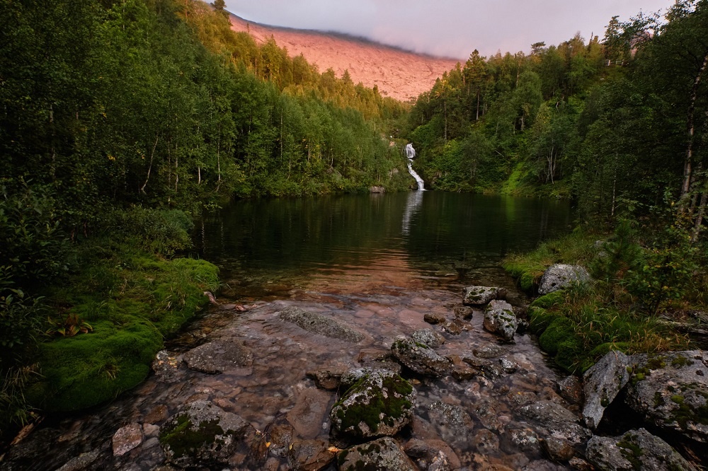 Фото: Ян Савицкий 