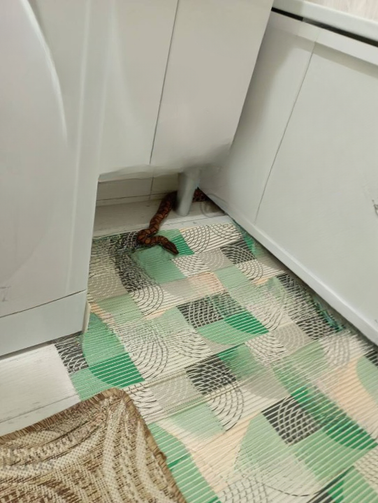 Фото: https://t.me/tipichkras