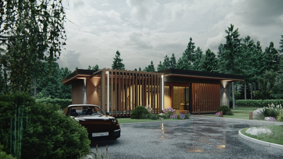 Перспектива Вид 1