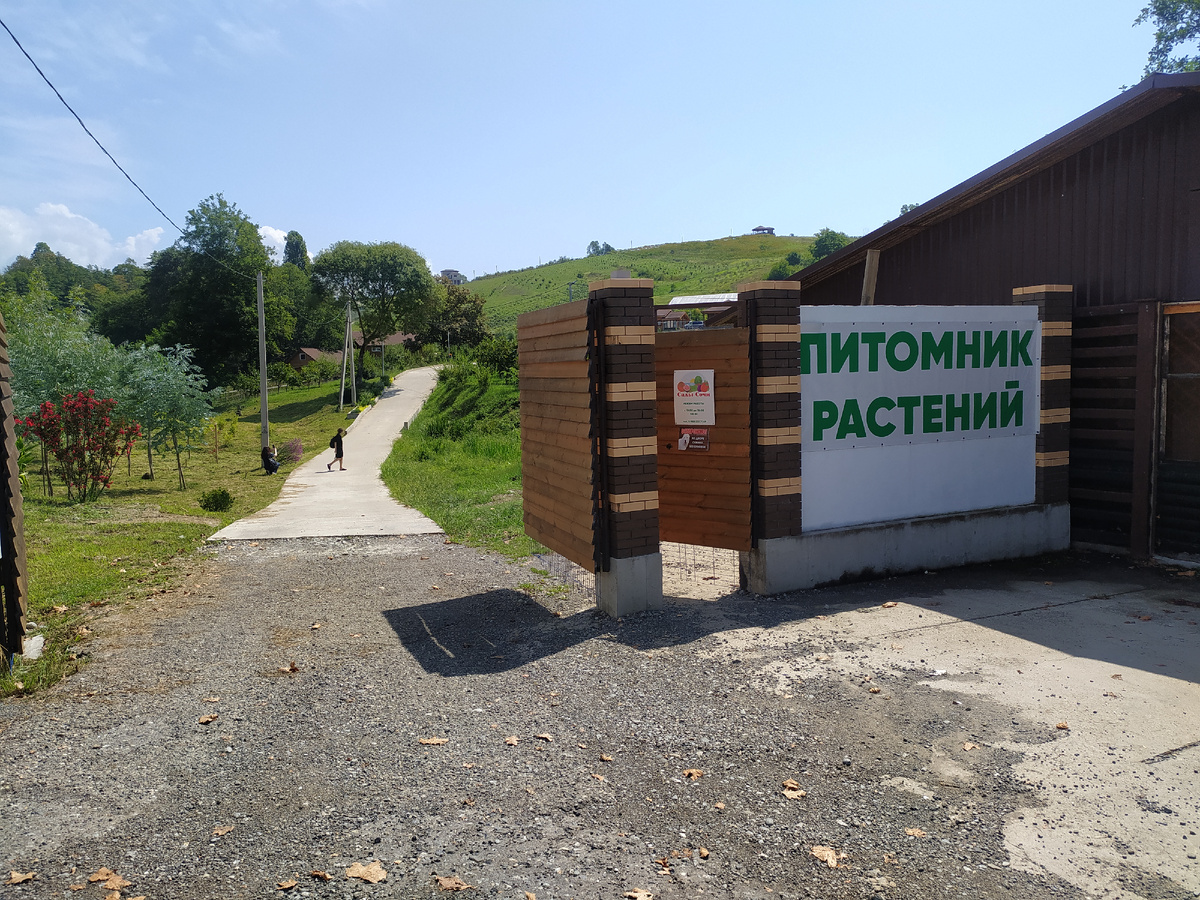 Вход в сады