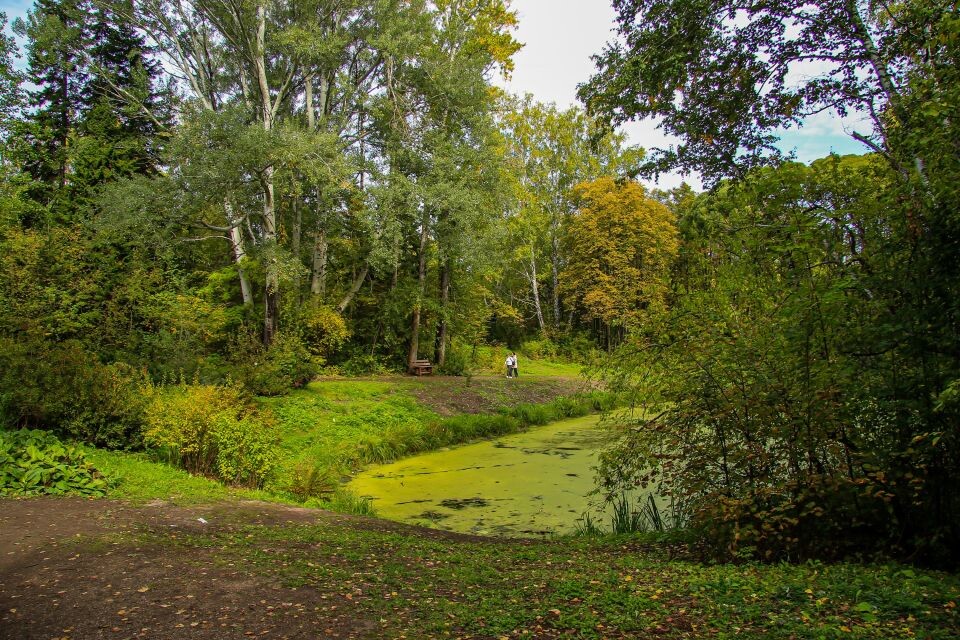    Осень в дендрарии 2023. Источник: Виталий Барабаш