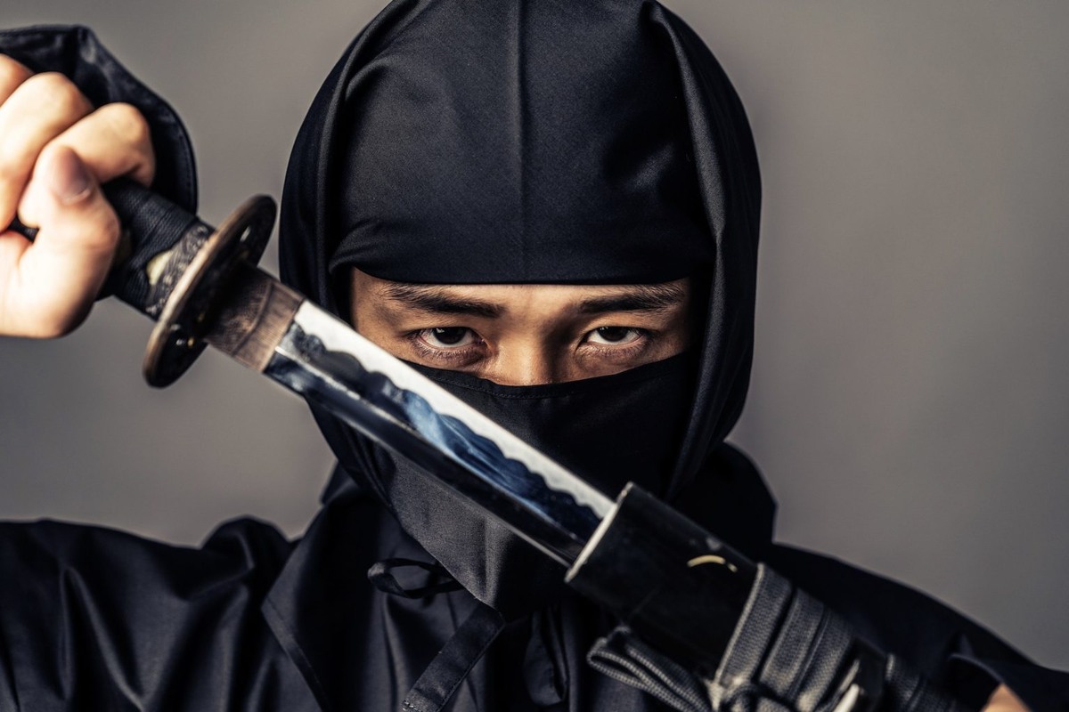                                                               Японский ниндзя