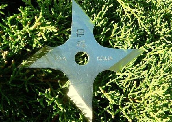  Сюрикэн (дословный перевод: “лезвие скрытое в руке”) – скрытое японское оружие, предназначенное для метания; хотя иногда использовалось и для ударов