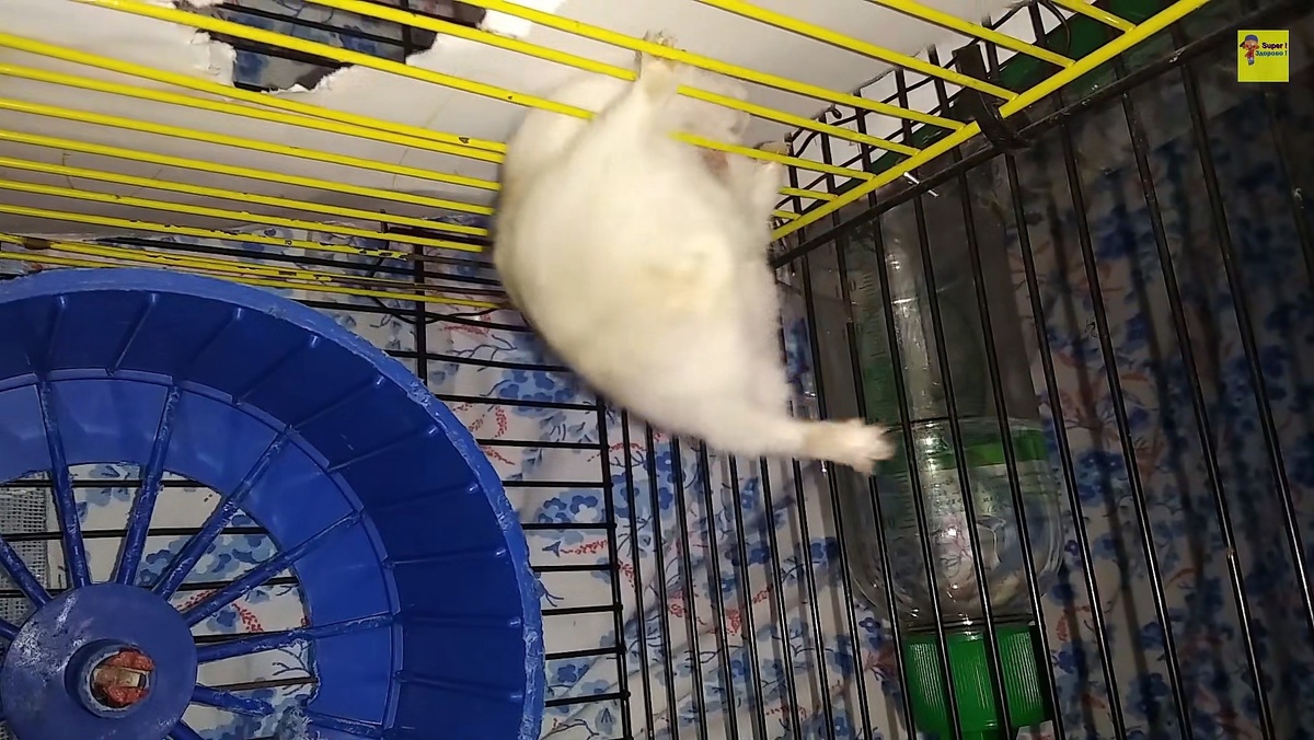 Смотрите, что случится 😅