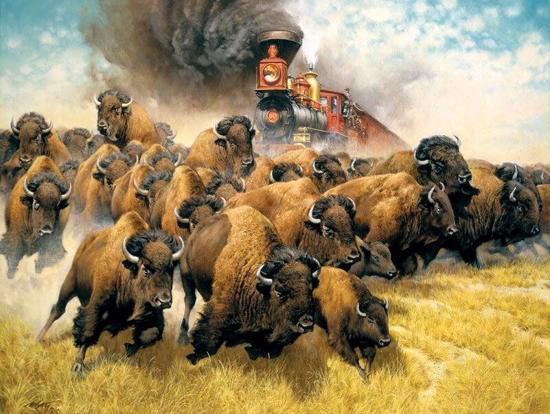Охота на бизонов с поезда
