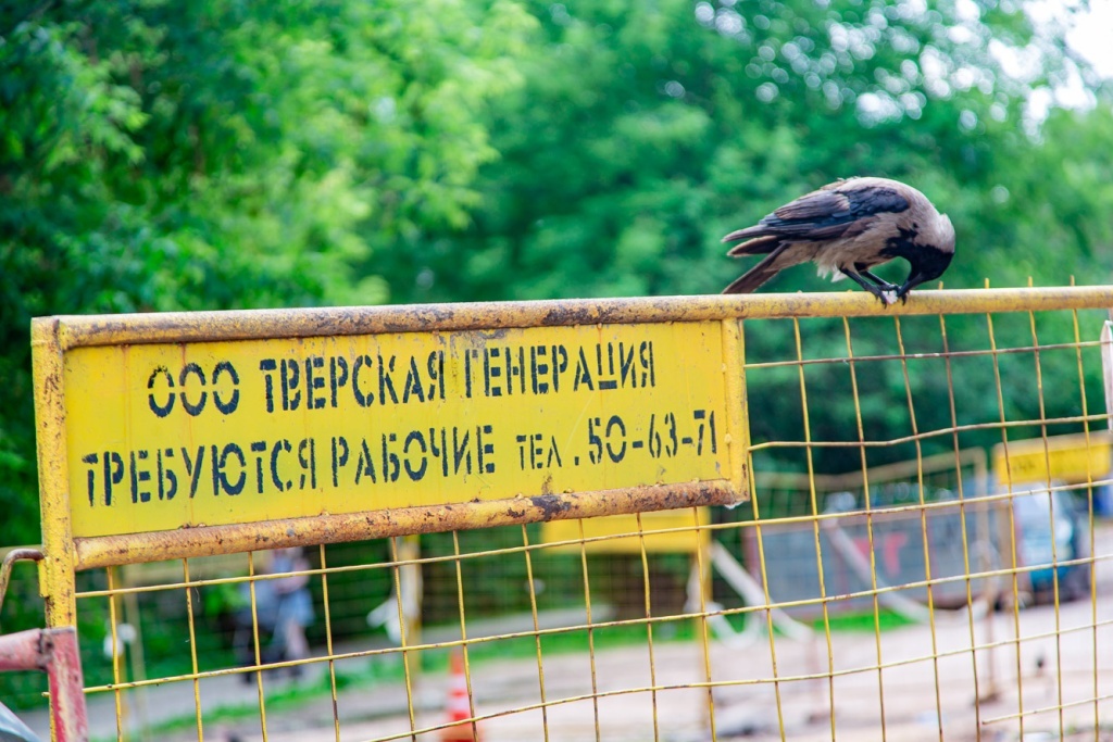 Тверская генерация