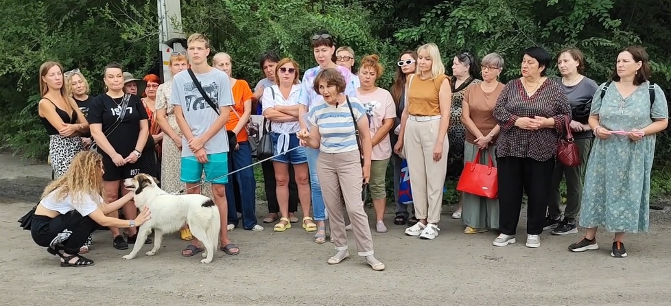 Фото и видео: канал channel38685048 в RuTube