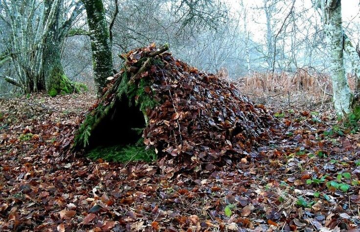 Шалаш в лесу / Pinterest