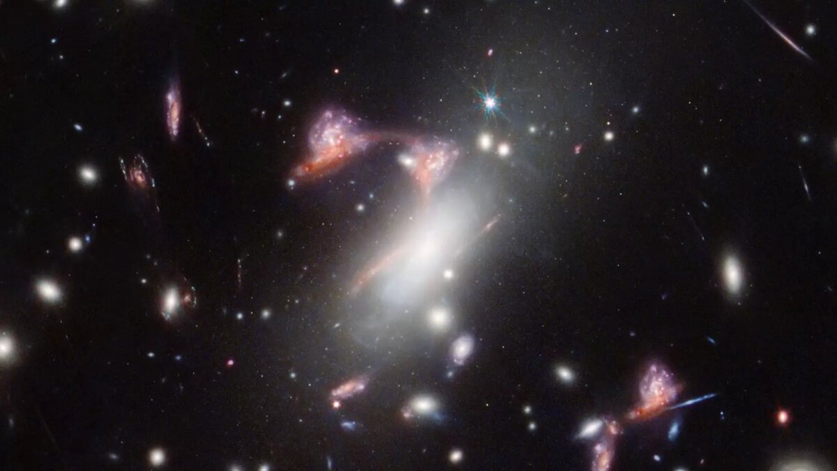     Автор: NASA, ESA, CSA, STScI, V. Estrada-Carpenter (Saint Mary's University) Источник: science.nasa.gov