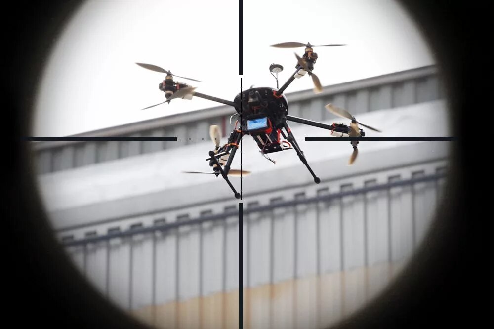 Фото из Яндекса.