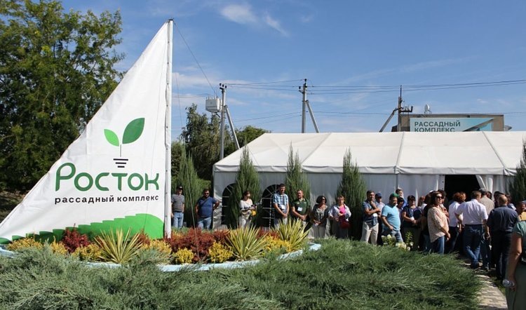    В волгоградском ССЦ «Росток» формируют генбанк отечественных овощных культур
