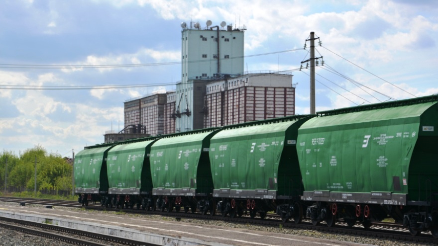 Пять вагонов-зерновозов доставили 340 тонн продукции из Свердловской области в Казахстан