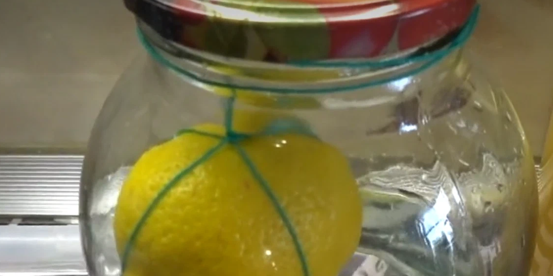 Подборка настоек с прекрасным вкусом и ароматом. "Цитрусовое настроение".