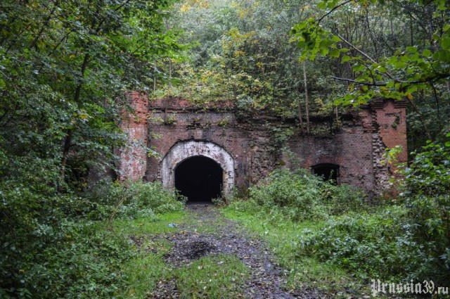   Фото: Женяй Огонь, Prussia39.ru