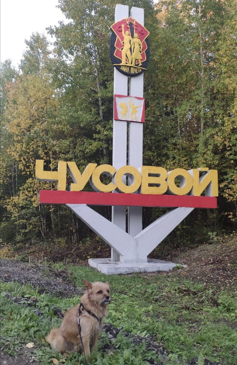 Приезжайте! Вас встретит Иржик - Биржундий Великолепный 😉