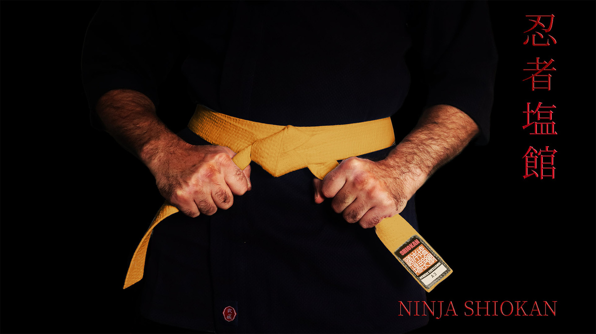 Школа Ниндзя Шиокан. (фото автора)