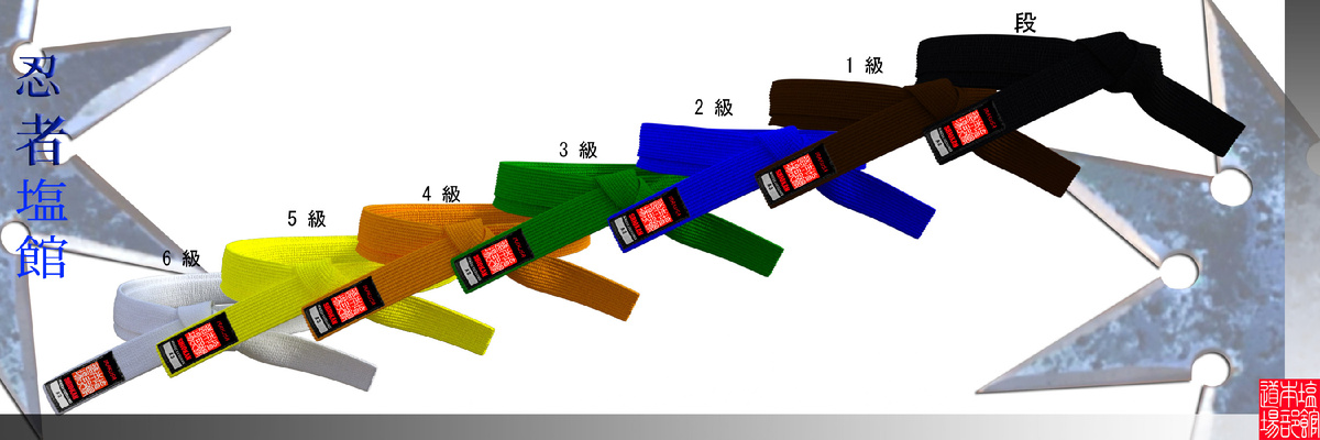 Система   степеней  и  поясов в Шиокан ниндзюцу.