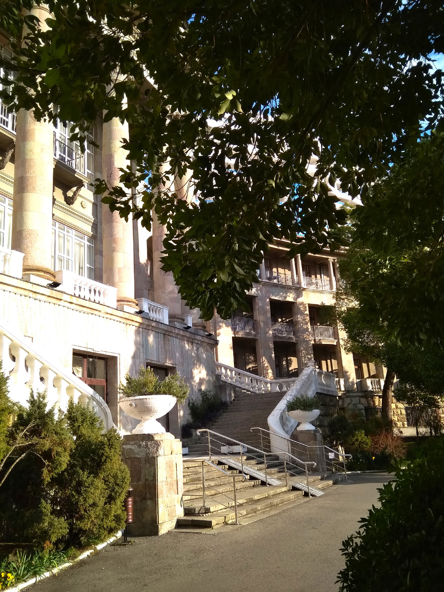 Вы видите зиму?