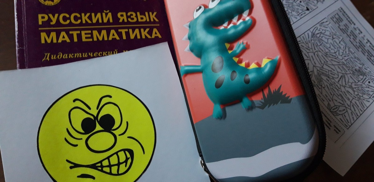 Фото автора Вот с таким выражением лица сидел мальчик на уроках, придумывая всё новые и новые проказы