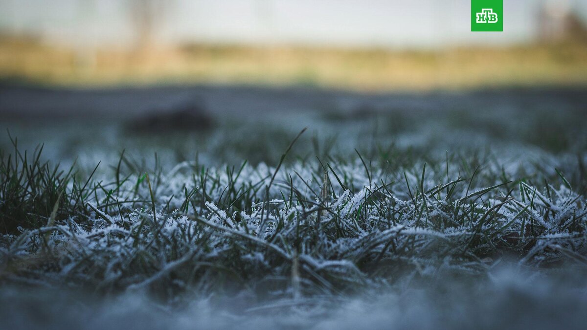    Фото: Chris Anderson / unsplash.com