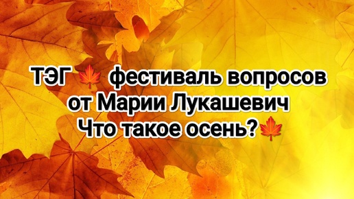 ТЭГ 🍁 фестиваль вопросов от Марии Лукашевич 🍁вопросы сентября 🦆 Болталка под вязание