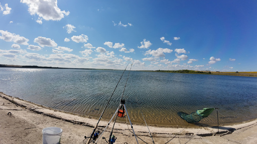 Рыбалка на деревенском пруду! #рыбалка #fishing #рыбалкавидео #природа #плотва