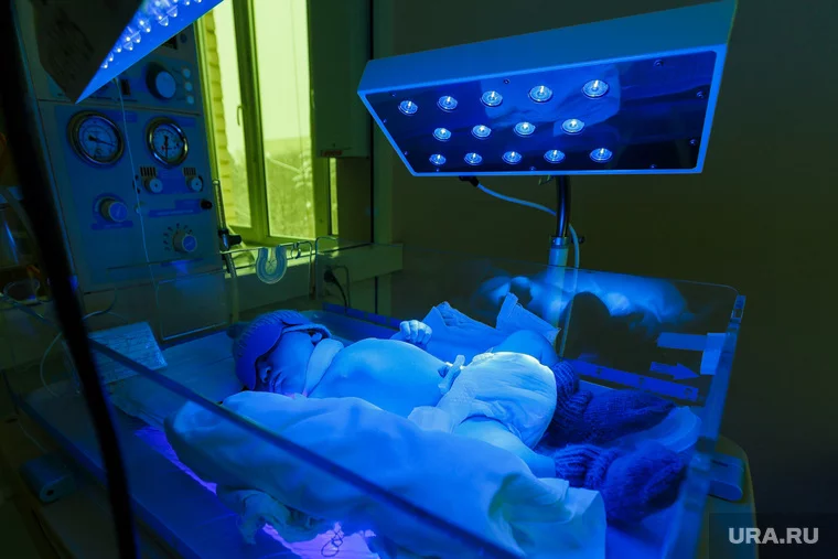 Государство предоставляет российским семьям целый ряд пособий для повышения рождаемости Фото: Илья Московец © URA.RU