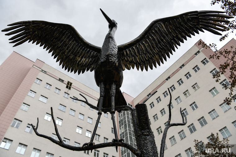 Фото: Владимир Жабриков © URA.RU