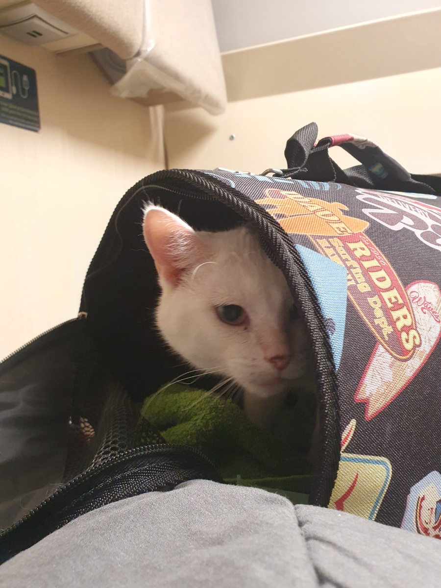 Удивление и испуг были пару минут