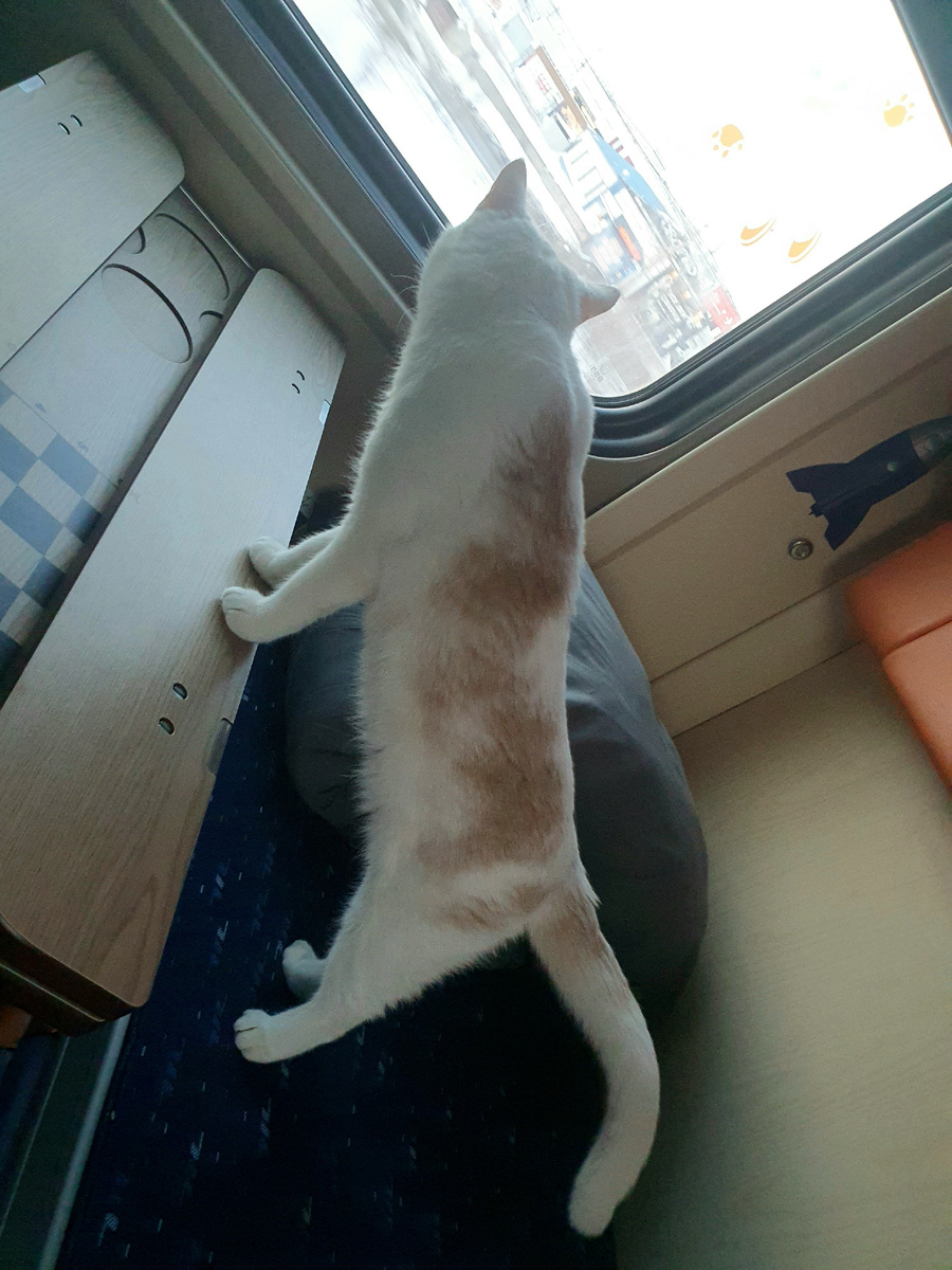 Любопытство - наше всё)