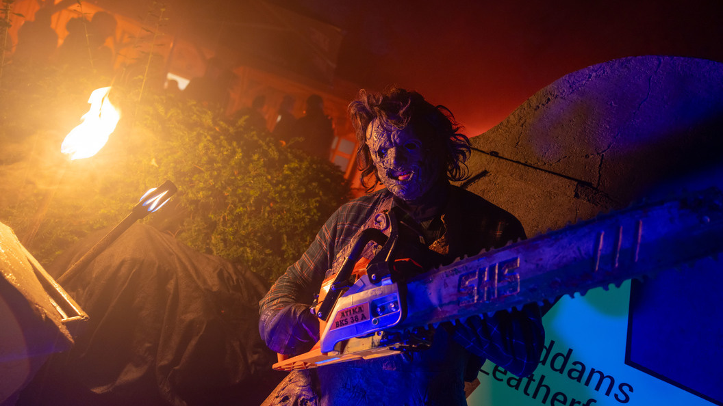    Фото: Gerald Matzka/Globallookpress