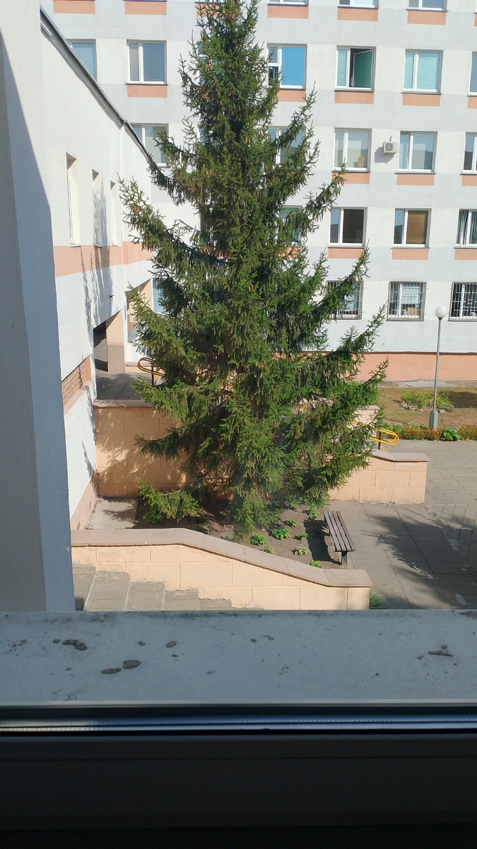 Больница, где сейчас я
