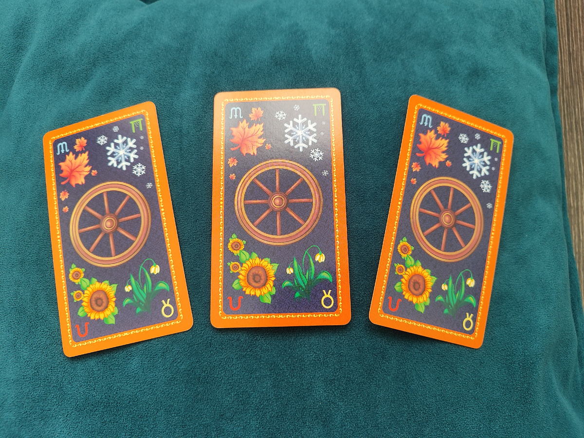 Фото автора.