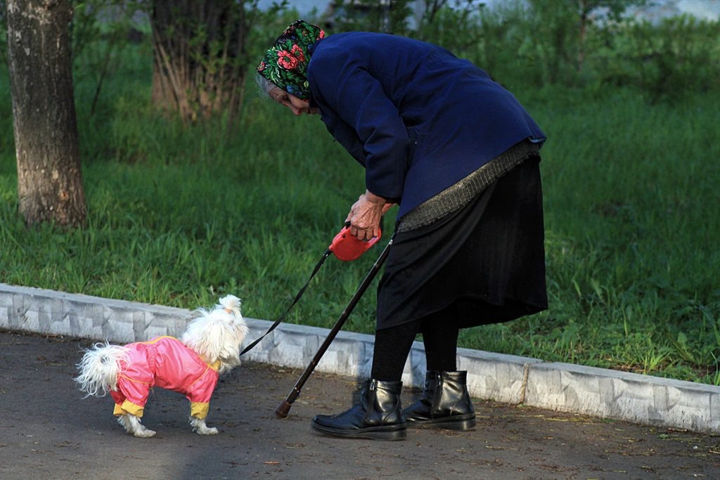 Фото: dzen.ru