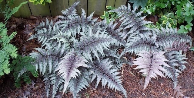 ожидание, фото из интернета