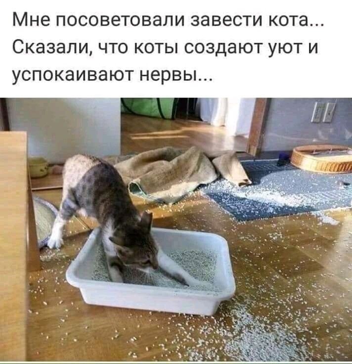 источник Яндекс-картинки