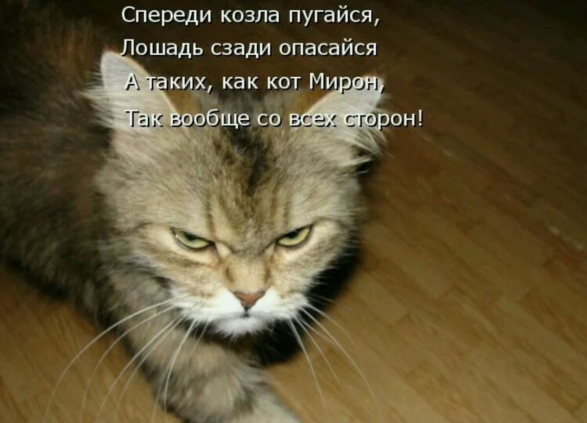 источник Яндекс-картинки