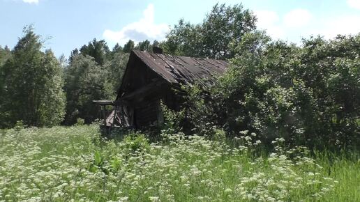 Скачать видео: Деревня Эмохоны. Недавно заброшенная деревня.