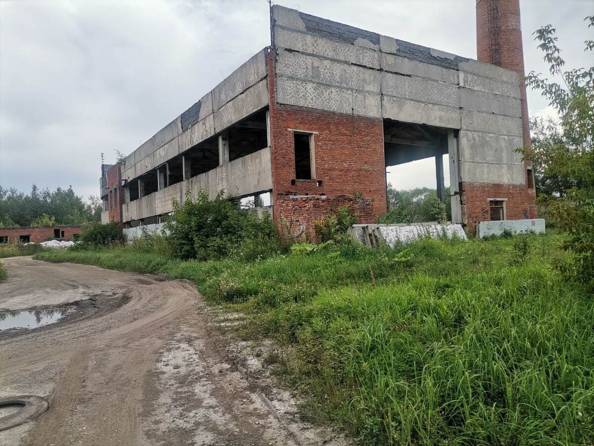 Руины молочного завода. Из личного архива