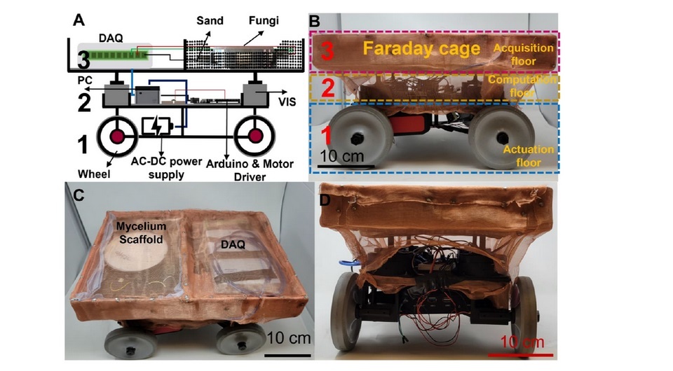   Anand Kumar Mishr et al. / Science Robotics, 2024