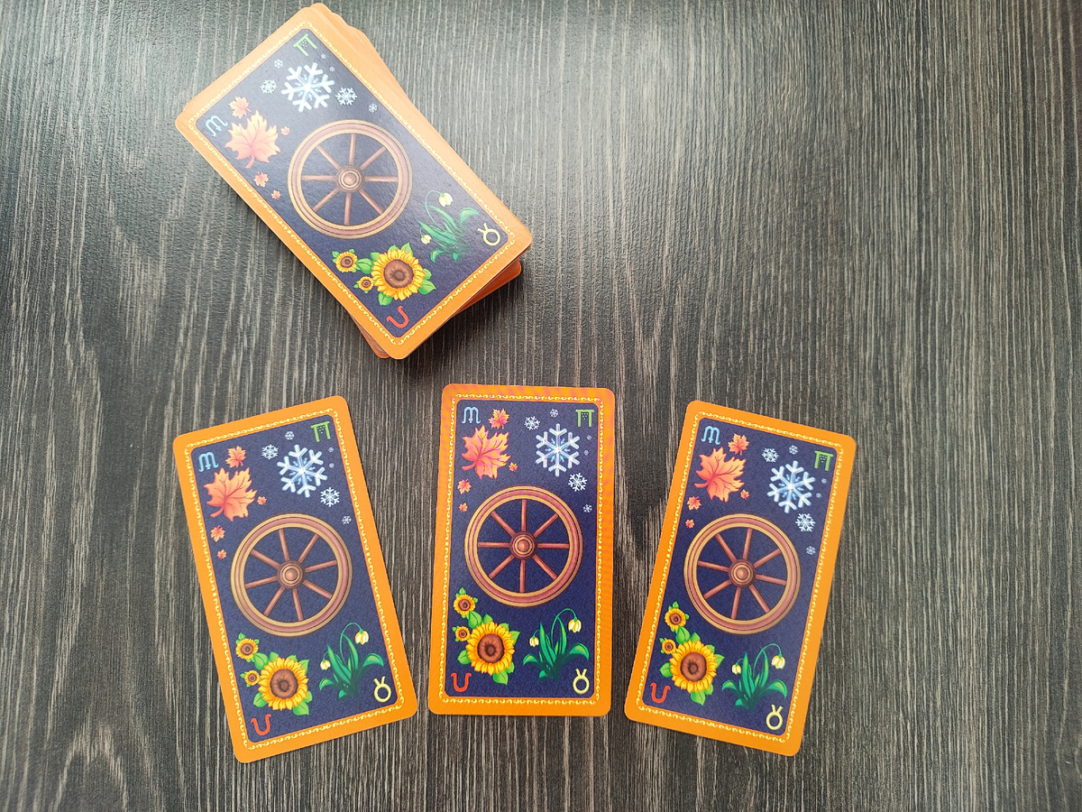 Фото автора.