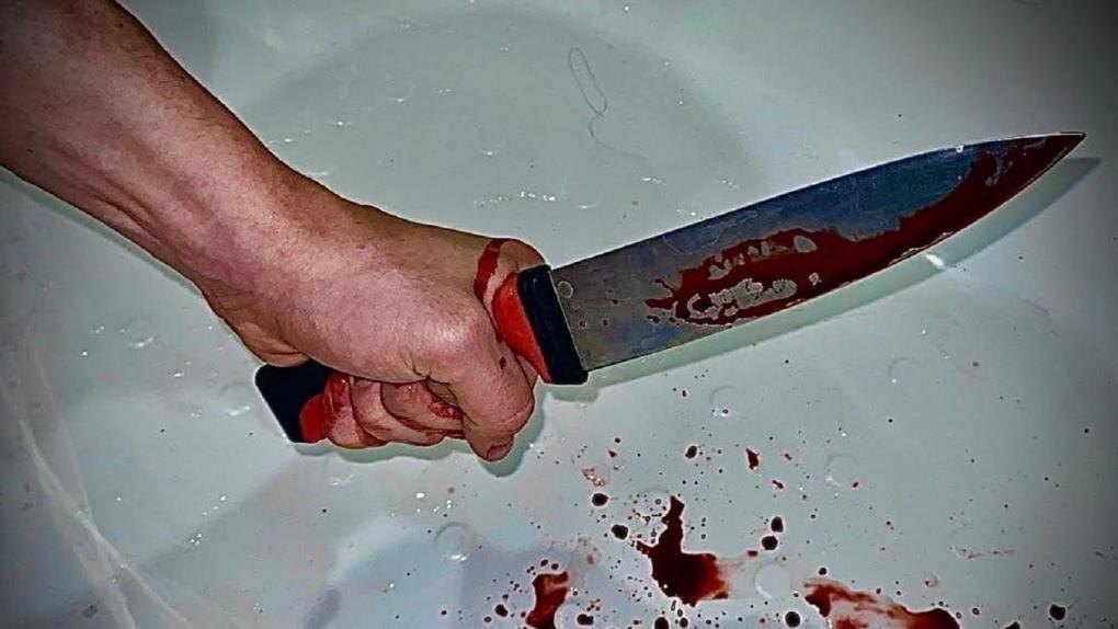    В Новосибирской области мужчина убил и сжег останки матери в печи